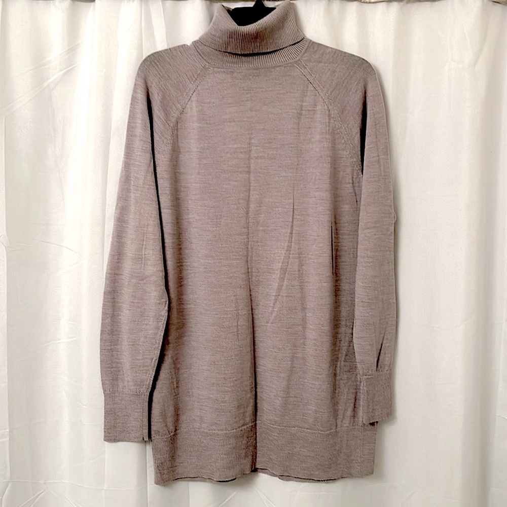 NWOT Raglan Merino Turtleneck Tunic